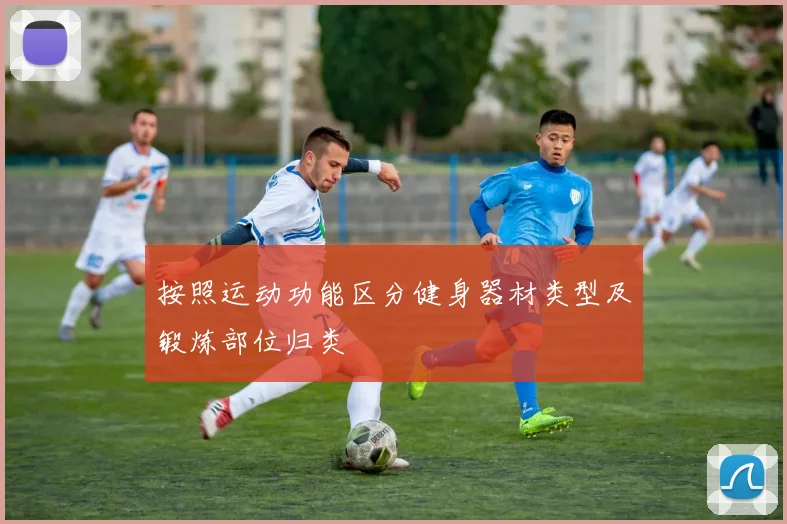 按照运动功能区分健身器材类型及锻炼部位归类